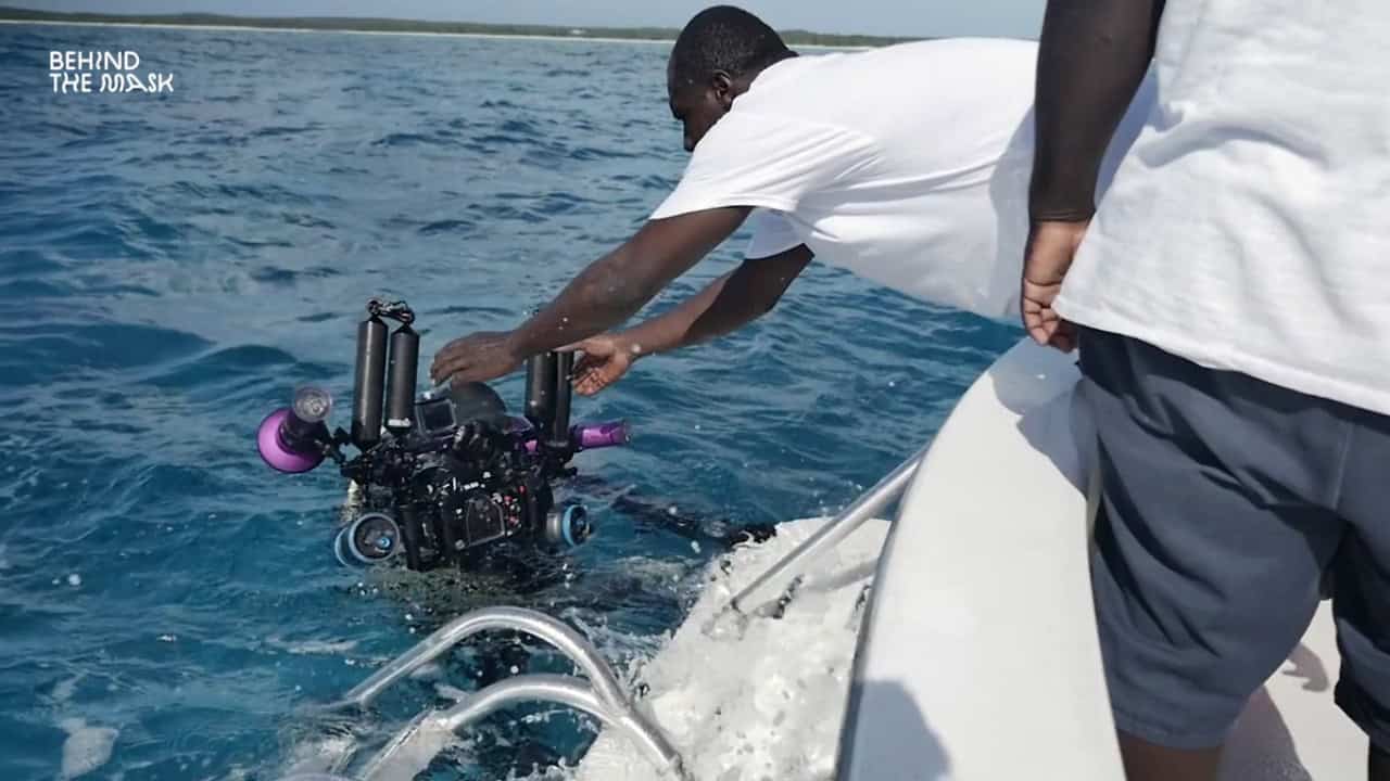 the sharks from behind the mask